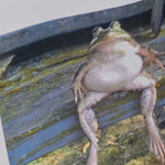 KOI Frog Tote Bag - Accessories - KOI Footwear - White - Front Detail