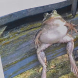 KOI Frog Tote Bag - Accessories - KOI Footwear - White - Front Detail