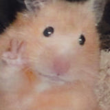 KOI Hamster Tote Bag - Accessories - KOI Footwear - White - Close Detail