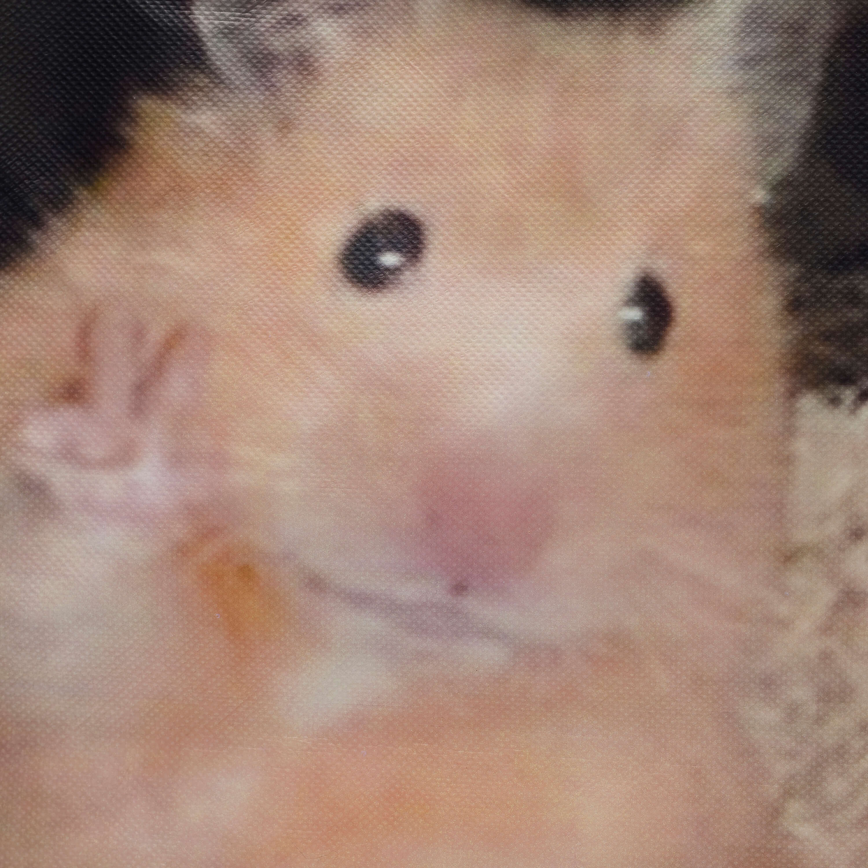 KOI Hamster Tote Bag - Accessories - KOI Footwear - White - Close Detail